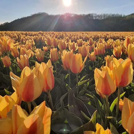 Сasa de vacaciones Ithaka House, Unieke Plek Met Vrij Parkeren! *
