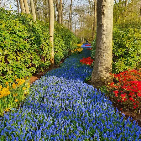 Ithaka House, Unieke Plek Met Vrij Parkeren! Noordwijk