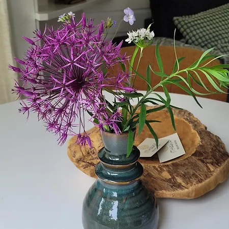 Ithaka House, Unieke Plek Met Vrij Parkeren! *