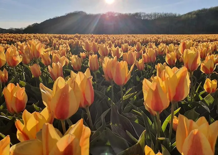 Tatil Evi Ithaka House, Unieke Plek Met Vrij Parkeren! *