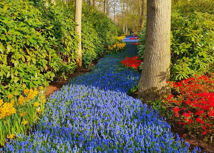 Ithaka House, Unieke Plek Met Vrij Parkeren! Noordwijk