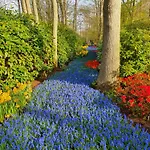 Ithaka House, Unieke Plek Met Vrij Parkeren! Noordwijk