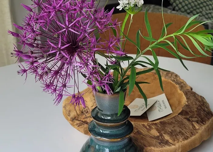 Ithaka House, Unieke Plek Met Vrij Parkeren! *